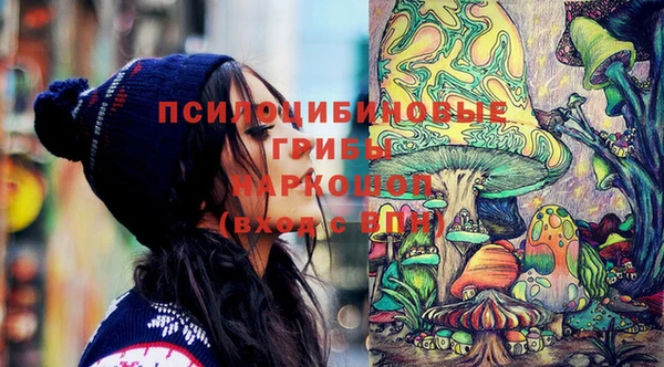 прущие грибы Белоозёрский